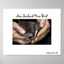 Search for kiwi bird posters Nature