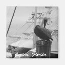 Search for jupiter magnets Florida
