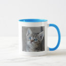 Search for cat people mugs Colour image