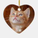 Search for pet name christmas tree decorations Script