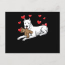 Search for stuffed animals postcards Funny