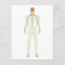 Search for nervous system postcards Full length