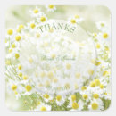Search for camomile stickers Daisy