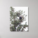 Search for bald eagle canvas prints Tree