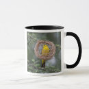 Search for weaver mugs Female