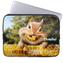 Search for chipmunk electronics Cute