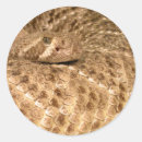 Search for rattlesnake stickers Venomous