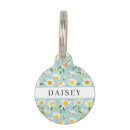 Search for daisy dog collars Flowers
