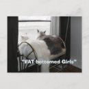 Search for fat cat postcards Humour