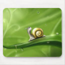 Search for snail with electronics Summer