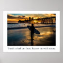 Search for shark posters Quotes