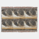 Search for otter blankets Wildlife