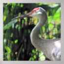 Search for cranes posters Elegant