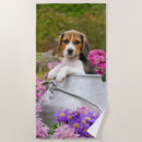 Search for churn Cute