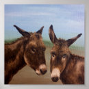 Search for donkeys posters Animals
