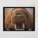 Search for arctic ocean postcards Climate change