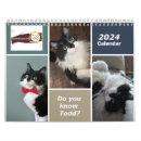 Search for 2024 calendars Cat