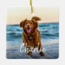 Search for dog name christmas tree decorations Animal lover