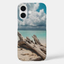 Search for driftwood iphone cases Beach