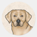 Search for lab stickers Cute