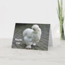 Search for chicken thank you cards White