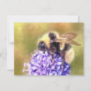 Search for bumblebee postcards Nature