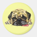 Search for mopping magnets Mops