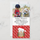 Search for cute owl christmas cards Birds