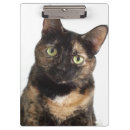 Search for cat clipboards Picture