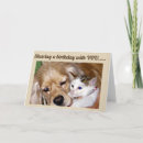 Search for shared birthday cards Kitten