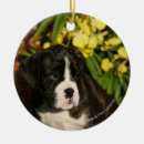 Search for boxer dog christmas tree decorations Puppies