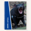 Search for blue devil Animal