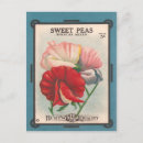 Search for vintage flower seeds postcards Nature