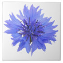 Search for cornflower blue tiles Nature