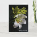 Search for white background cards Beautiful