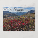 Search for yukon canada postcards Landscape
