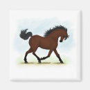 Search for blazing magnets Horse