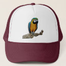 Search for feathered birds hats Parrot