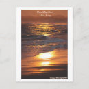 Search for cape may postcards Jersey