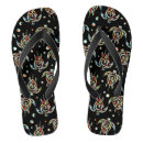 Search for turtle trainers Animal