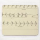 Search for insanity mouse mats United