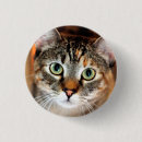 Search for pretty kitty badges Cute