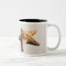 Search for riviera maya mugs Mexico