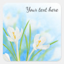 Search for spring crocus stickers Bloom