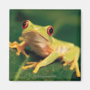 Search for red eye magnets Nature