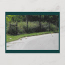 Search for ducks postcards Farm