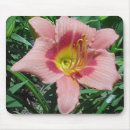 Search for daylily mouse mats Garden