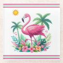 Search for flamingo coasters Florida