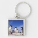 Search for flippers key rings Animal