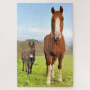 Search for horse puzzles Animal